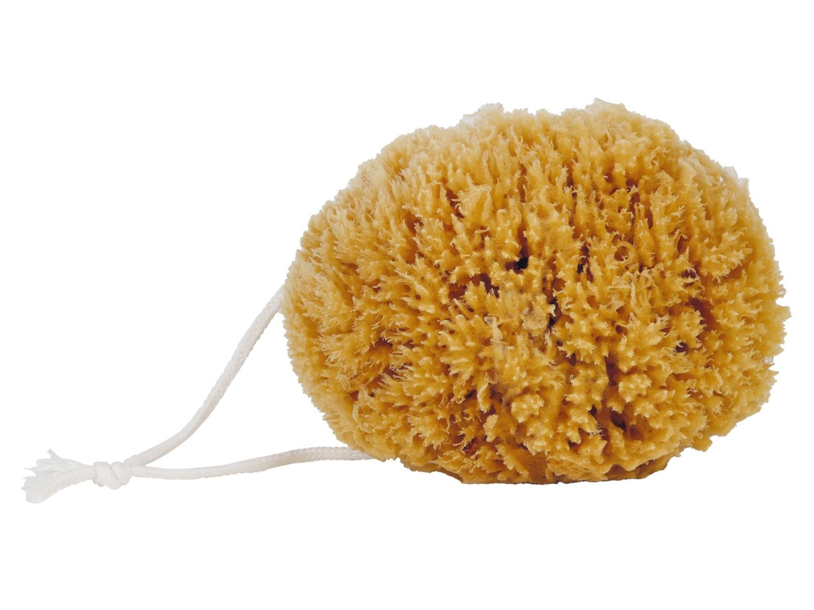 Badeschwamm Ø ca. 14 cm