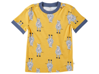 Kinder T-Shirt Bio-Baumwolle Zebrafreunde curry