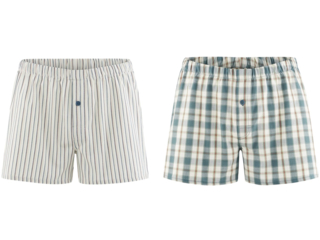 Herren Boxershorts "Gregor" 2er Pack salvia-natur