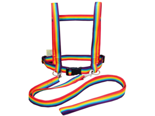 "Zügelmatz" Pferdeleine und Halfter zum Spielen, Regenbogen