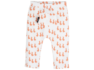 Baby Hose coral