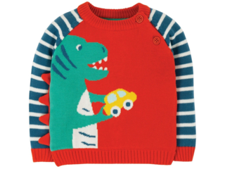 Baby und Kinder Pullover Dino