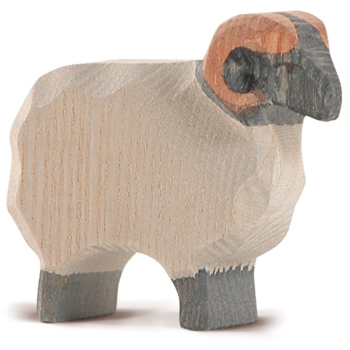 Ostheimer Heidschnuckenbock