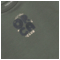 Noppies Langarmshirt Bio-Baumwolle (kbA) balsam green 3