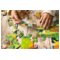 Adventerra Games Observation Puzzle Eco Farm 5
