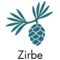 Zirbe (Arve)