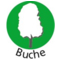 Buche