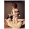 Senger Naturwelt Tierpuppen Baby Katze 4
