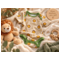 HANS NATUR Baby Body Kurzarm Bio-Baumwolle Löwe 4